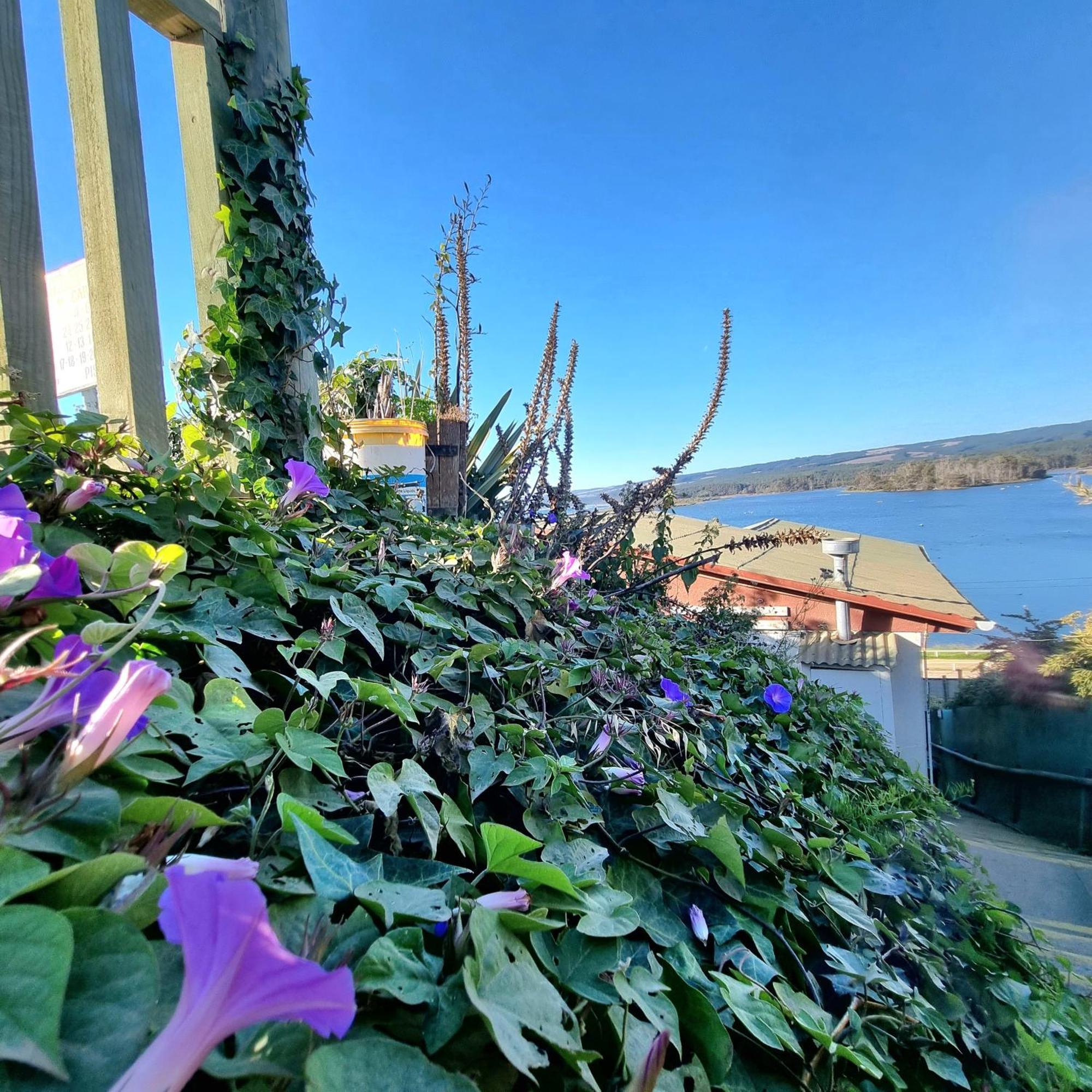 Max & Mar Pichilemu Otel Dış mekan fotoğraf