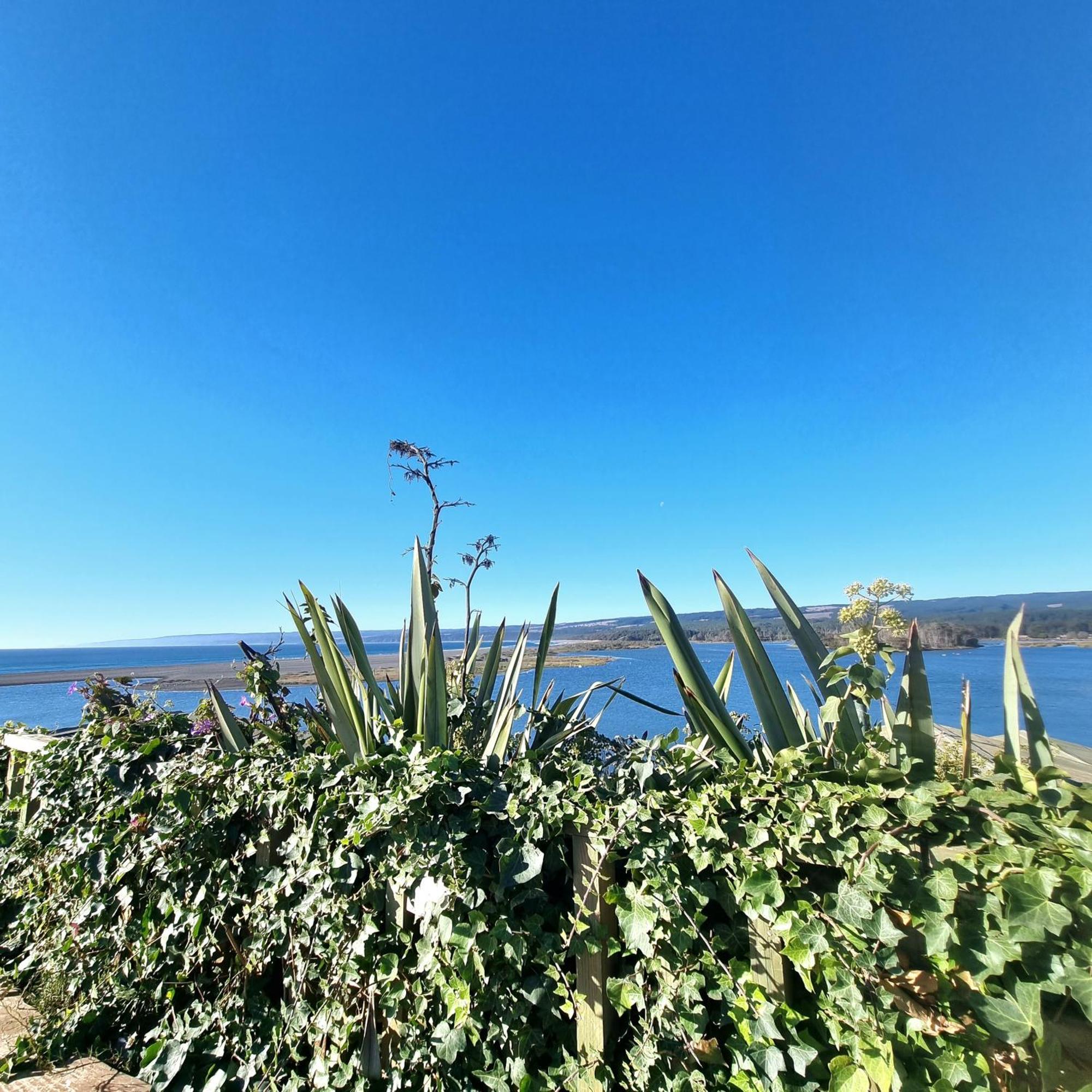 Max & Mar Pichilemu Otel Dış mekan fotoğraf
